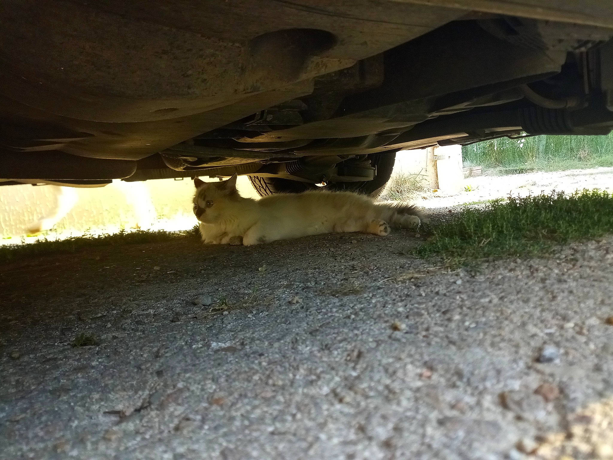 Clochette participe au concours pour gagner de l'argent avec cette photo : asphalt, auto_part, automotive_exterior, automotive_lighting, automotive_tire, automotive_wheel_system, bumper, concrete, landscape, plant, road, road_surface, shade, soil, tints_and_shades, tire, tree, vehicle_door, wheel, wood