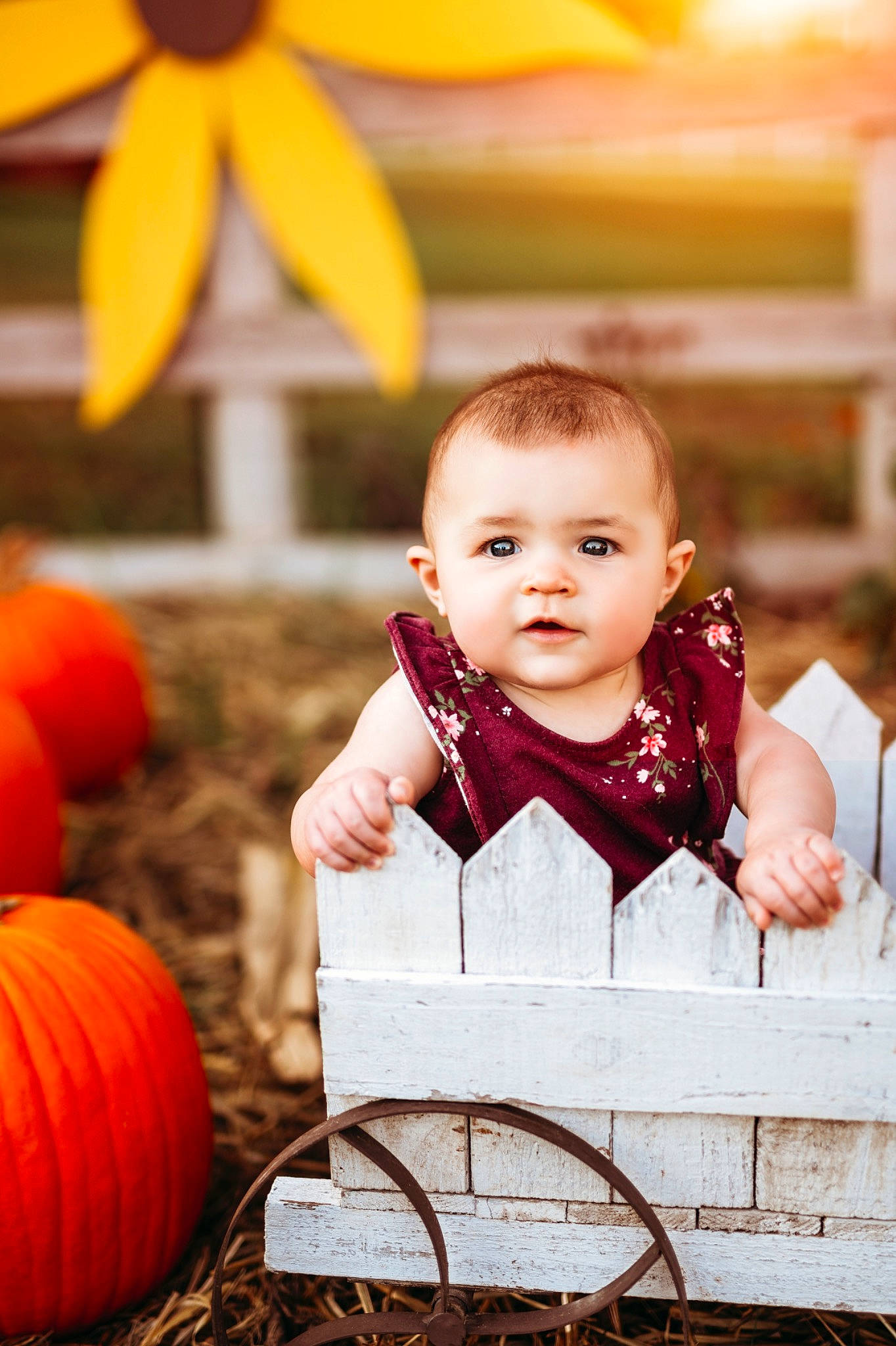 Ada joined the competition — help win amazing prizes! _and_melon_family, _gourd, baby_toddler_clothing, calabaza, child, cucumber, cucurbita, eye, gourd, happy, local_food, mouth, natural_foods, orange, person, produce, pumpkin, squash, toddler, vegan_nutrition