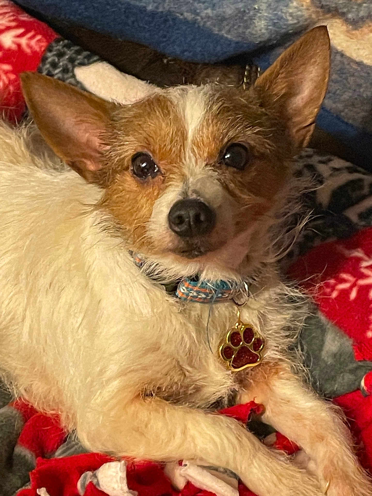 Millie