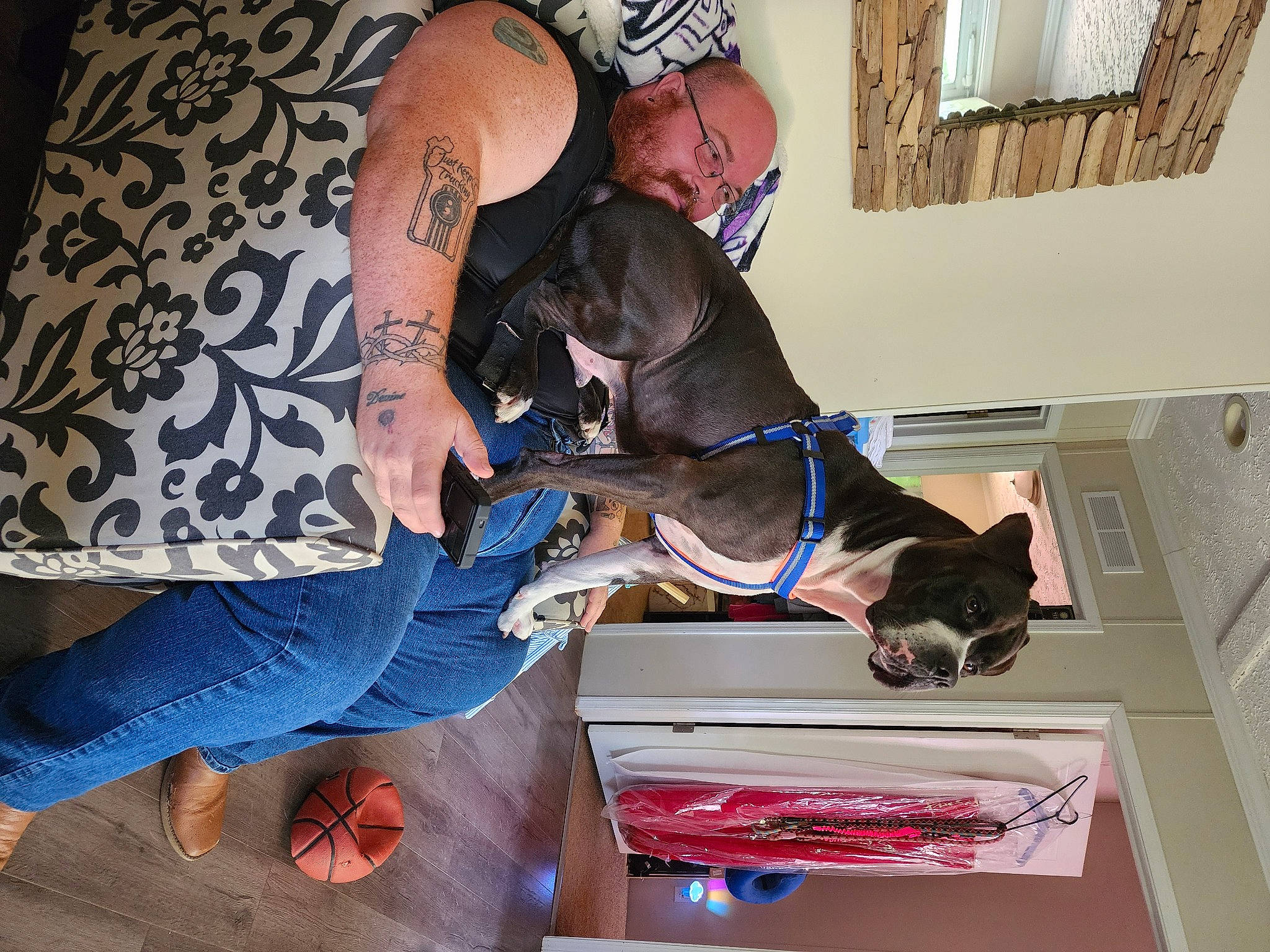Dynamight is registered to the contest to win money with this photo: arm, artist, canidae, carnivore, comfort, companion_dog, dog, dog_breed, elbow, fawn, fun, knee, room, sitting, sporting_group, window, wrist