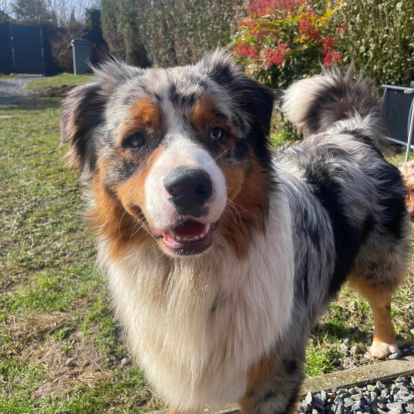 Tucker