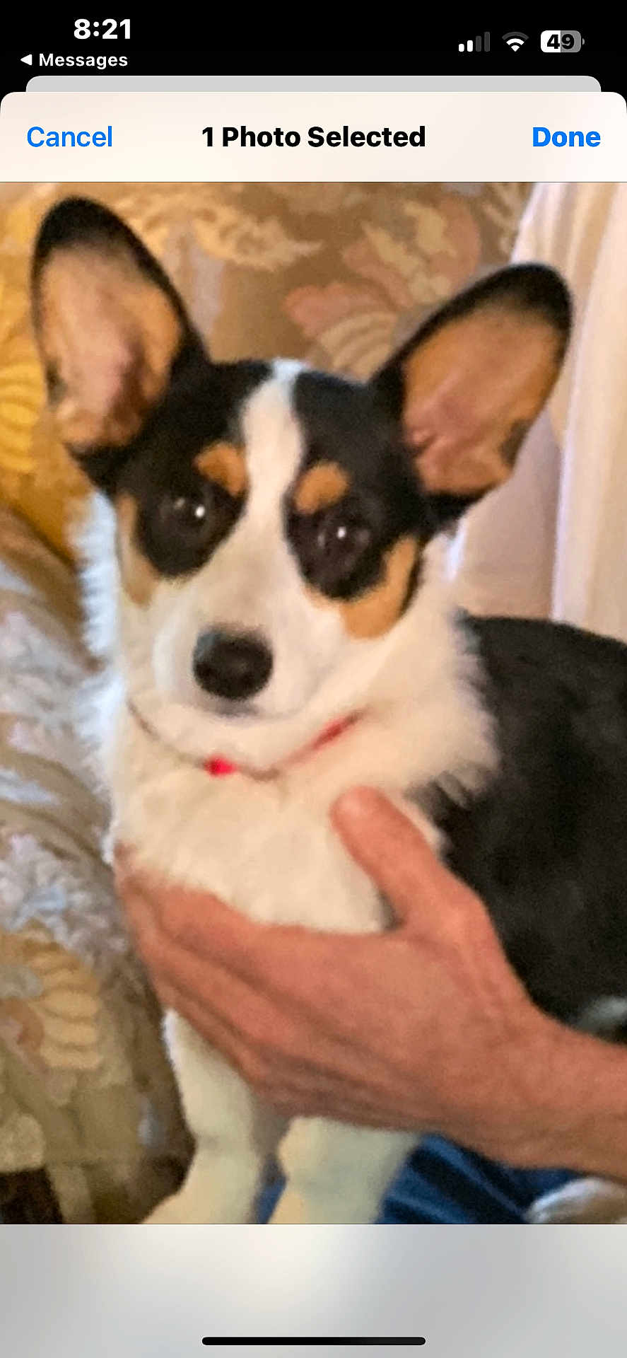 Annie