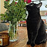 cat, black_cat, roses, red_flowers, flower_vase, bouquet, indoor, home, table, wooden_table, sitting, pet, feline, animal, still_life, decor, green_leaves, glass_vase, cozy, photography