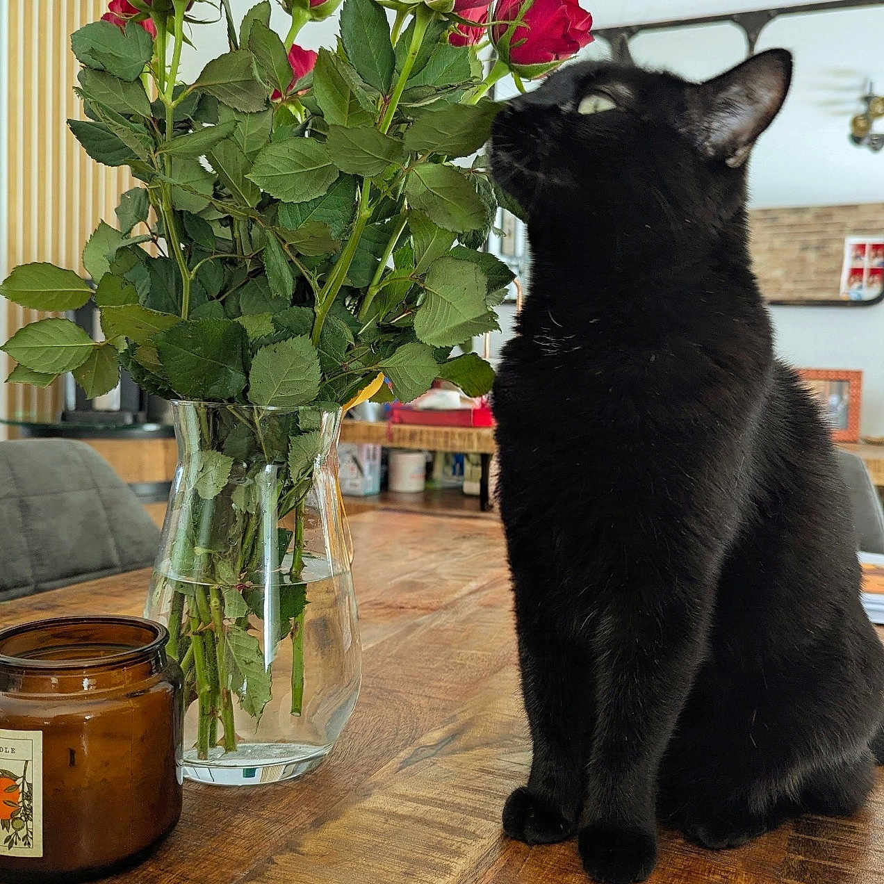 Bellatrix