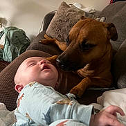 Kayson is registered to the contest to win money with this photo: baby, dog, couch, pajamas, sleeping, pet, animal, indoor, cozy, face, friendship, curious, brown_dog, infant, resting, blanket, living_room, comfort, cute, tender_moment