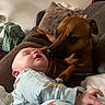 baby, dog, couch, pajamas, sleeping, pet, animal, indoor, cozy, face, friendship, curious, brown_dog, infant, resting, blanket, living_room, comfort, cute, tender_moment