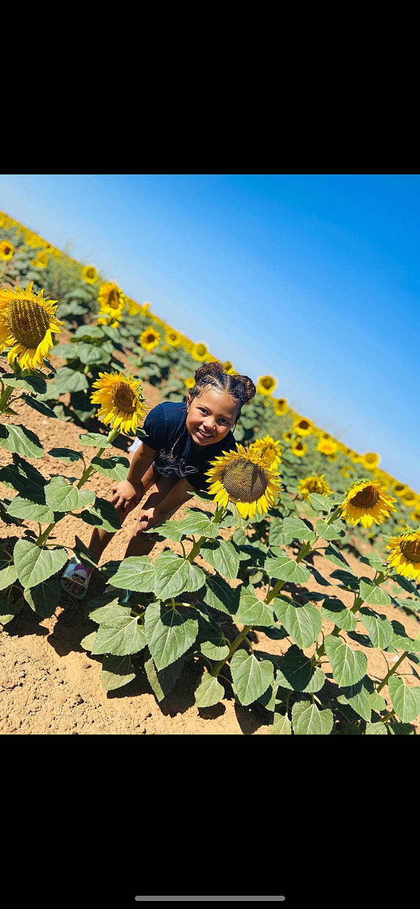 Anyah is registered to the contest to win money with this photo: adaptation, agriculture, annual_plant, cash_crop, field, flower, flowering_plant, grass, grassland, groundcover, happy, joy, landscape, leaf, natural_landscape, people_in_nature, person, plant, sky, sunflower