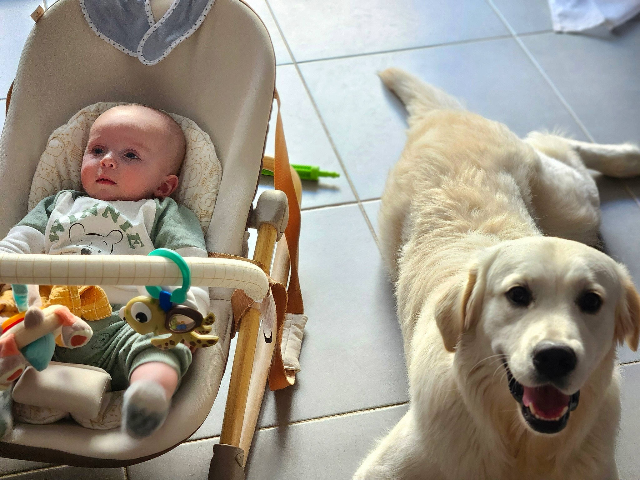 Togo participe au concours pour gagner de l'argent avec cette photo : baby, baby_products, baby_safety, baby_toddler_clothing, canidae, carnivore, child, comfort, companion_dog, dog, dog_breed, flooring, fur, infant_bed, pet_supply, photograph, snout, sporting_group, toddler, working_animal