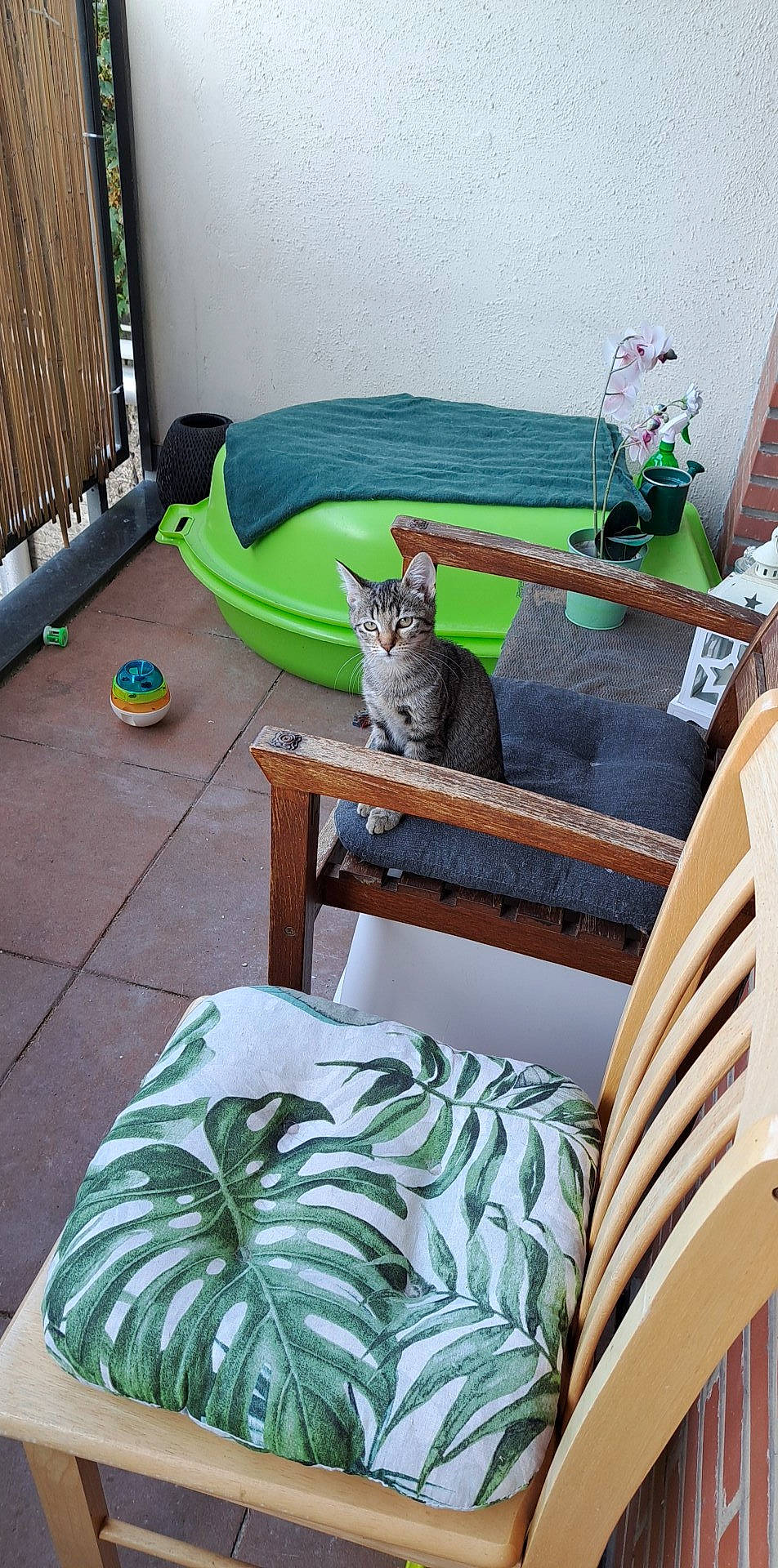 Chloé