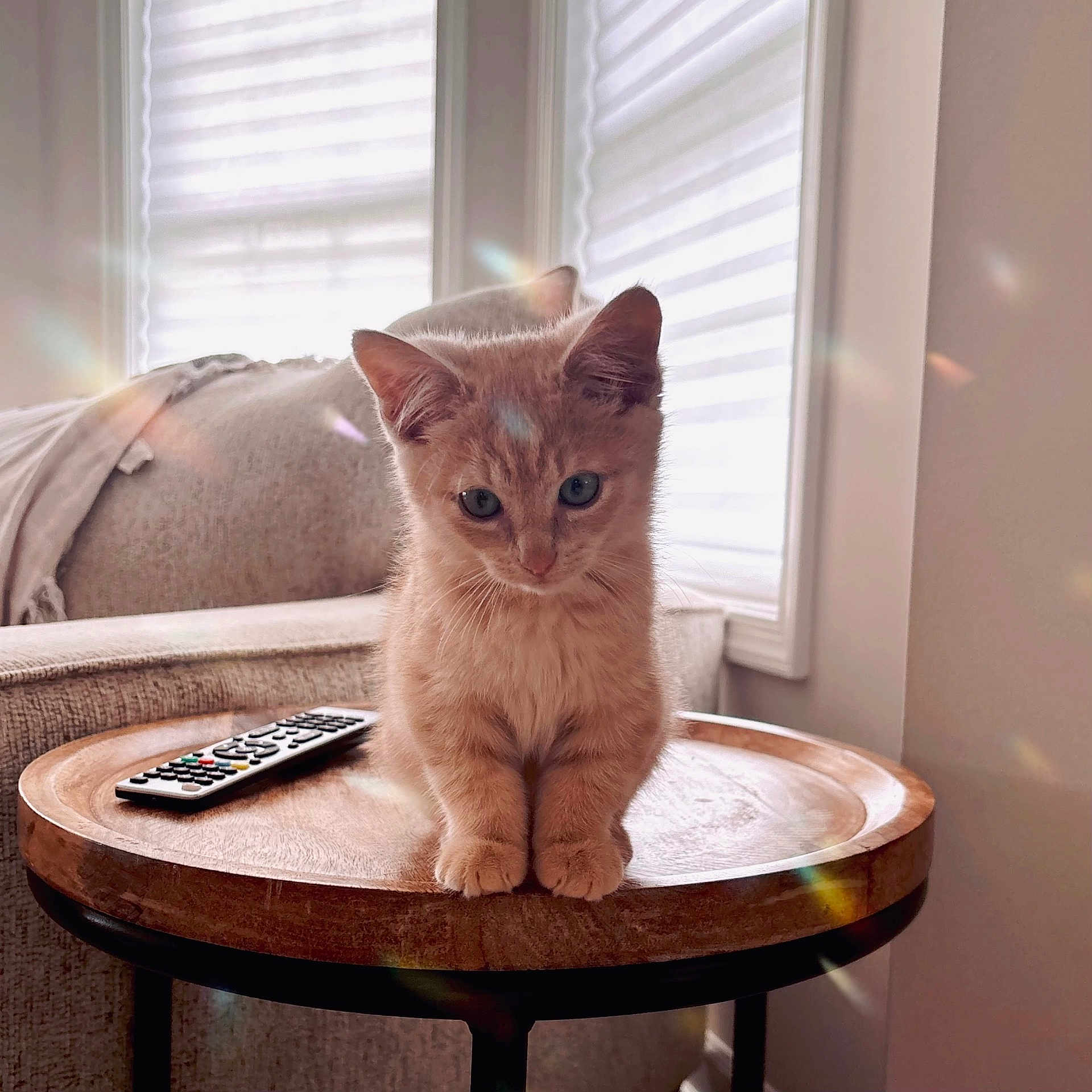 Nugget