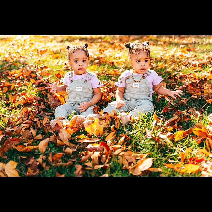 Gianna And Railee is registered to the contest to win money with this photo: art, baby, child, collage, face, female, girl, grass, head, land, leaf, nature, outdoors, person, photography, plant, portrait, sitting, tree, vegetation