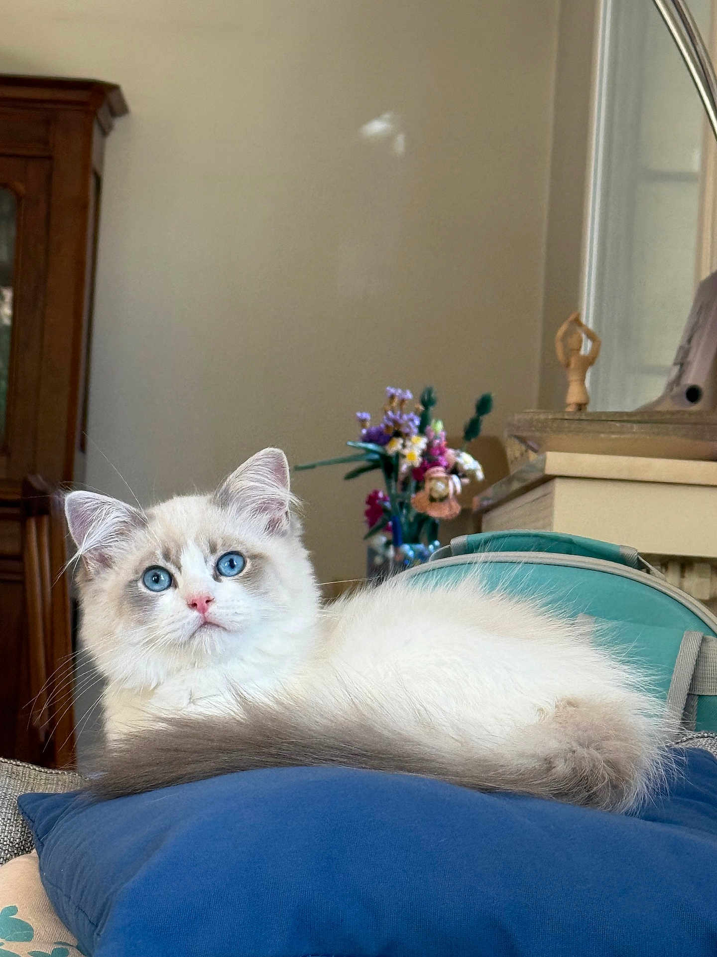 Atlas