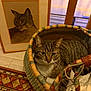Hermes participe au concours pour gagner de l'argent avec cette photo : cat, tabby_cat, basket, woven_basket, portrait, framed_picture, rug, carpet, floor_tile, blanket, whiskers, ears, eyes, indoor, home_decor, chair, wooden_chair, painting, pet, cozy