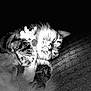 cat, tabby, sleeping, plush_toy, closeup, black_and_white, fur, whiskers, paws, cozy, blanket, texture, pet, animal, resting, cute, indoor, soft, relaxed, companion