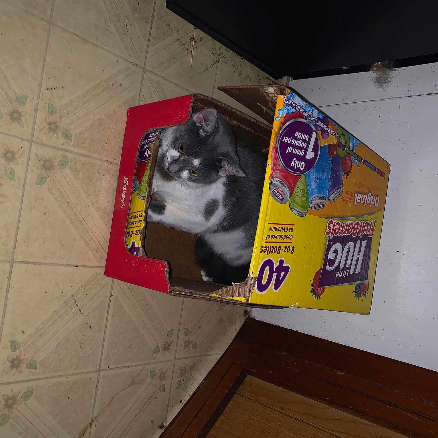 Stormie