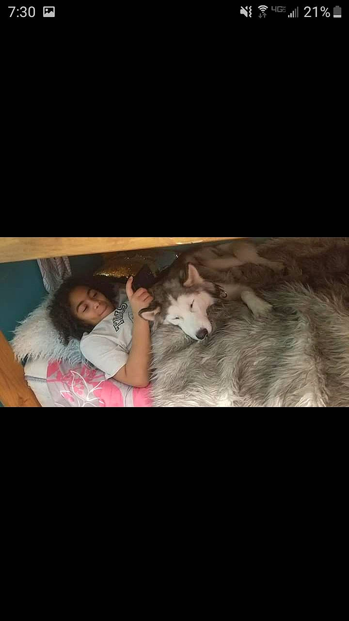 Kita joined the competition — help win amazing prizes! beauty, child, fur, human, long_hair, night, photography, sitting, toddler