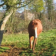 Nola St Germain participe au concours pour gagner de l'argent avec cette photo :