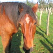 Muguet Du Brillet a rejoint le concours — aidez-le/la à gagner de superbes lots !