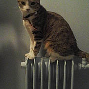 Lina participe au concours pour gagner de l'argent avec cette photo :