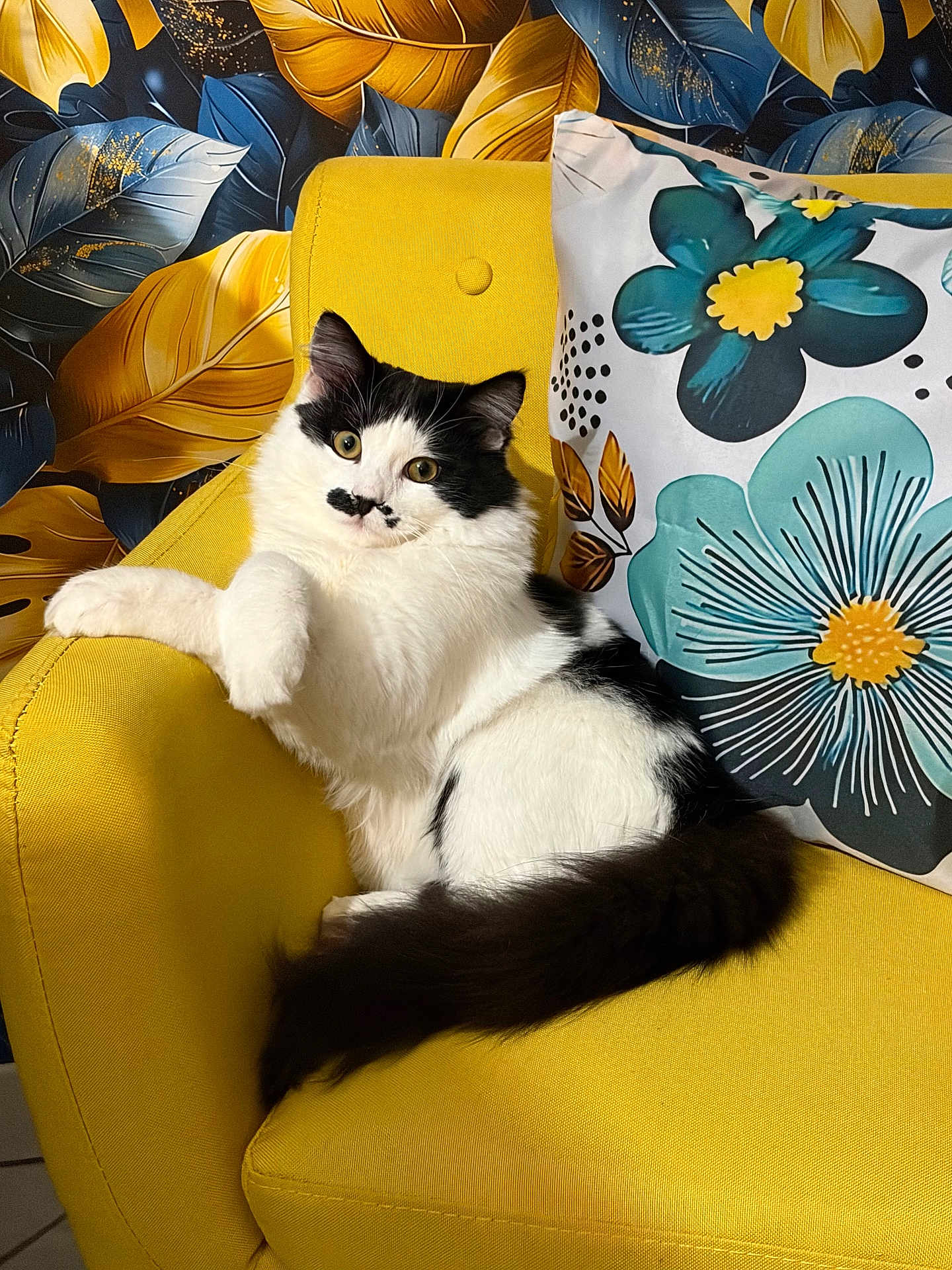 Amour a rejoint le concours — aidez-le/la à gagner de superbes lots ! cat, black_and_white, fluffy, yellow_chair, pillow, floral_pattern, leaf_pattern, wallpaper, indoor, relaxed, pet, feline, mustache_marking, cozy, home_decor, furniture, animal, cute, resting, portrait