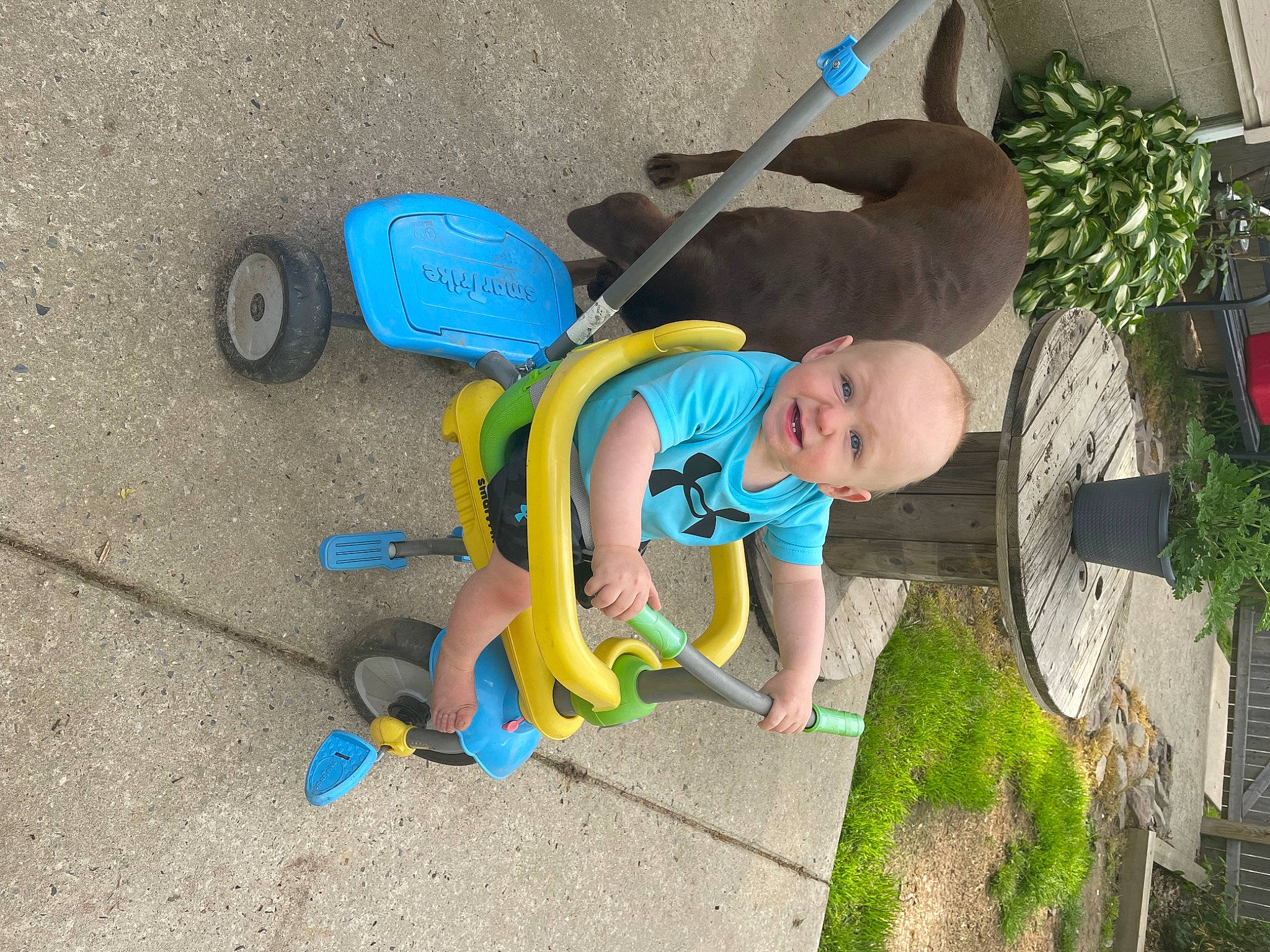 Drake joined the competition — help win amazing prizes! asphalt, automotive_tire, baby, baby_products, child, electric_blue, fun, grass, landscape, leisure, person, plant, play, recreation, sidewalk, sitting, t_shirt, tire, toddler, tree