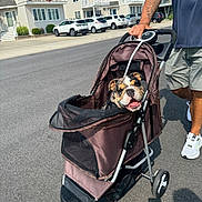 Don Carlo Angelo is registered to the contest to win money with this photo: adult, architecture, building, car, city, clothing, footwear, male, man, neighborhood, outdoors, person, road, shelter, shoe, shorts, street, transportation, urban, vehicle