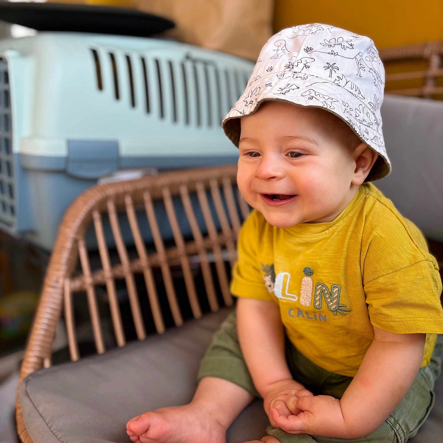 Elios participe au concours pour gagner de l'argent avec cette photo : baby, barefoot, bucket_hat, casual_clothing, child, cozy, cushion, cute, dinosaur_pattern, green_pants, happy, hat, indoor, pet_carrier, portrait, seated, smiling, toddler, wicker_chair, yellow_shirt