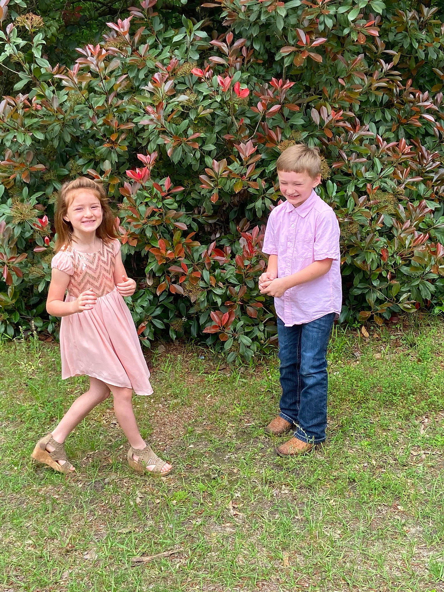 Virginia joined the competition — help win amazing prizes! botany, child, family, fun, garden, grass, joy, leaf, people, people_in_nature, person, plant, toddler, tree, vacation, walking