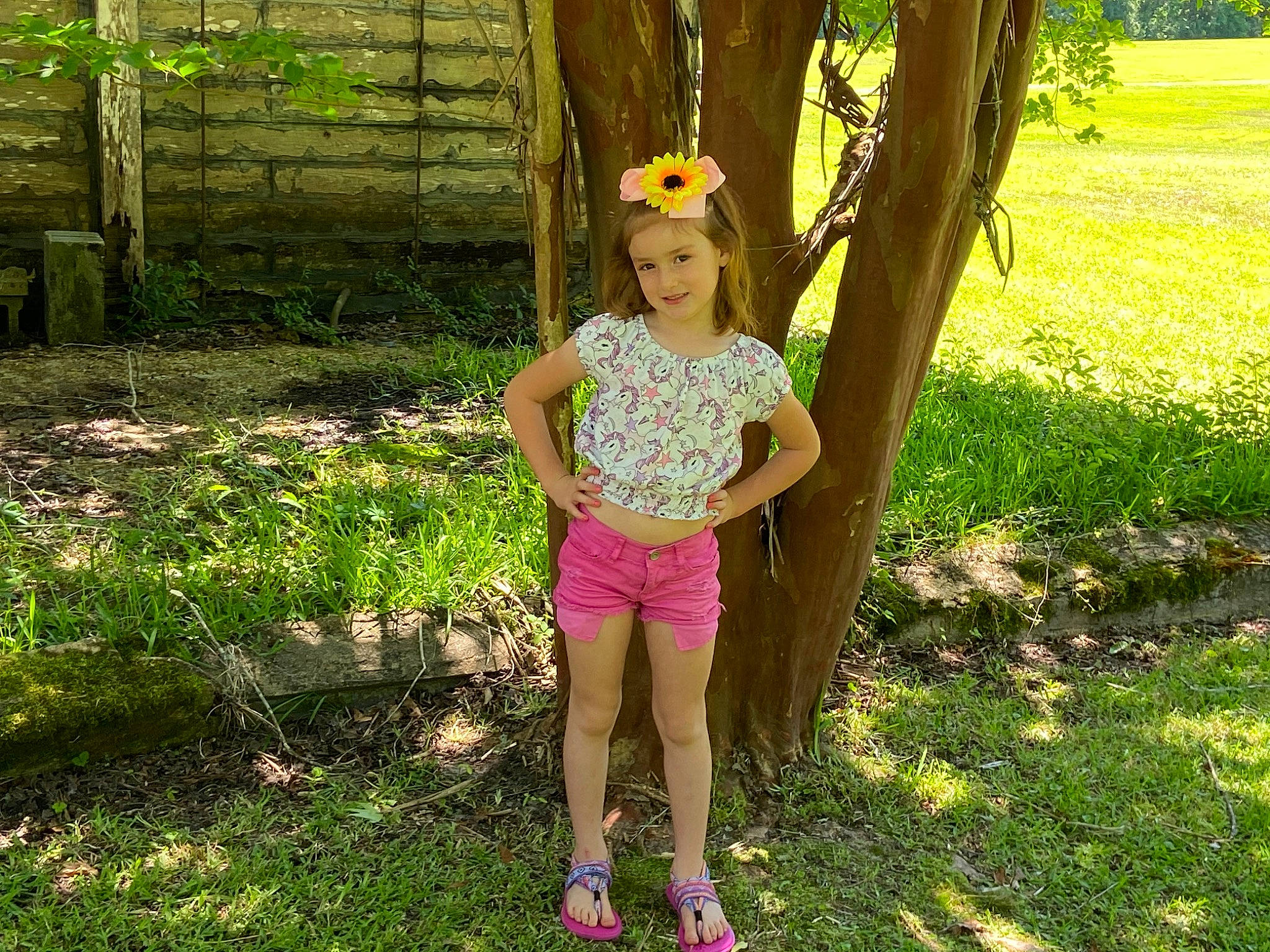 Virginia joined the competition — help win amazing prizes! botany, child, fawn, flower, garden, grass, joy, person, plant, shorts, spring, summer, tree, vacation, wildflower