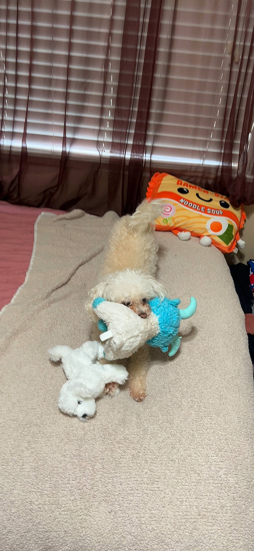 Laika joined the competition — help win amazing prizes! art, baby_toys, comfort, craft, creative_arts, fawn, fiber, flooring, fur, knitting, linens, plush, room, stuffed_toy, tail, thread, toy, wood, wool, woolen