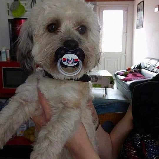 Max