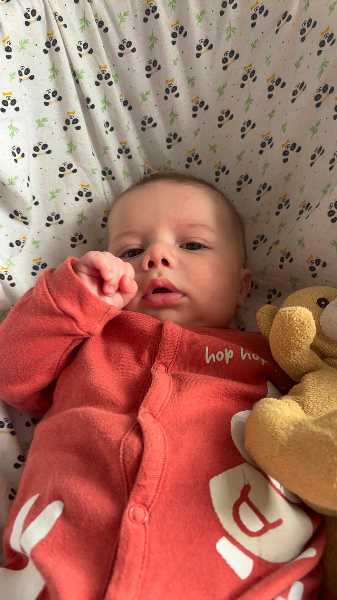 Rafaël a rejoint le concours — aidez-le/la à gagner de superbes lots ! baby, infant, onesie, teddy_bear, blanket, panda_pattern, child, cute, soft_toy, lying_down, portrait, indoors, cozy, clothing, young_child, baby_girl, baby_boy, sleepwear, hand, face