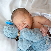 Roman joined the competition — help win amazing prizes! newborn, baby, sleeping, stuffed_animal, blue, blanket, soft, cuddle, peaceful, infant, bed, white, cute, child, rest, comfort, toy, hand, face, skin