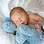 newborn, baby, sleeping, stuffed_animal, blue, blanket, soft, cuddle, peaceful, infant, bed, white, cute, child, rest, comfort, toy, hand, face, skin
