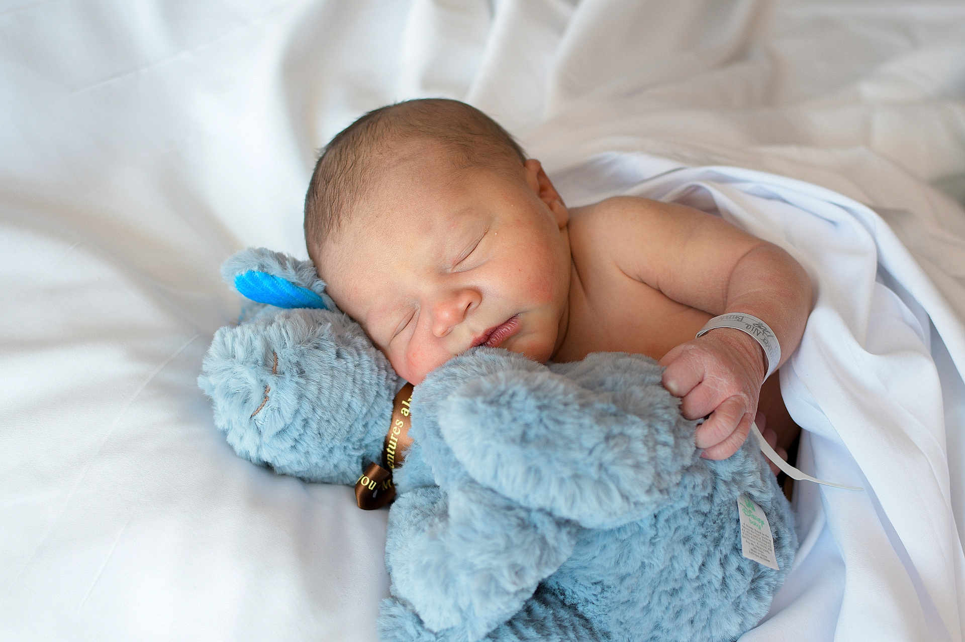 Roman joined the competition — help win amazing prizes! newborn, baby, sleeping, stuffed_animal, blue, blanket, soft, cuddle, peaceful, infant, bed, white, cute, child, rest, comfort, toy, hand, face, skin