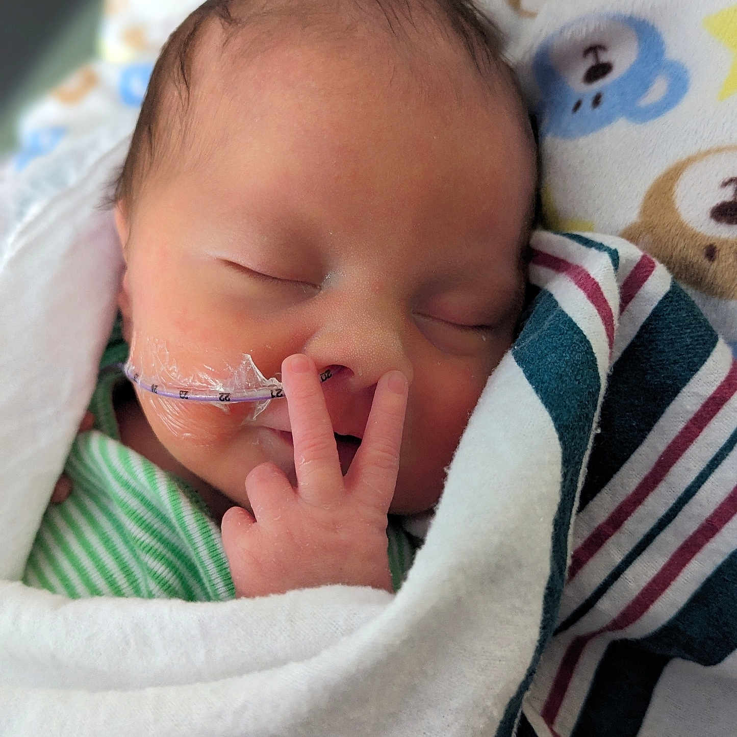 Jase is registered to the contest to win money with this photo: baby, blanket, child, close_up, cute, face, hand, hospital, infant, medical, nasal_tube, newborn, peace_sign, peaceful, person, resting, sleeping, soft, teddy_bear_pattern, wrapped
