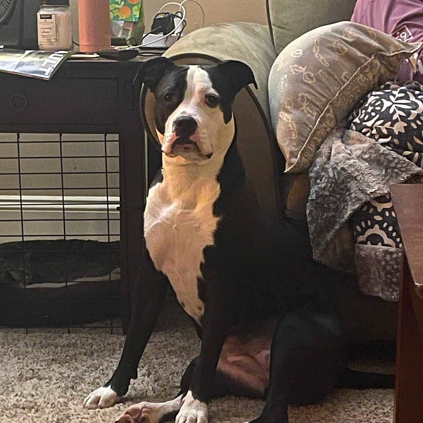 Xena