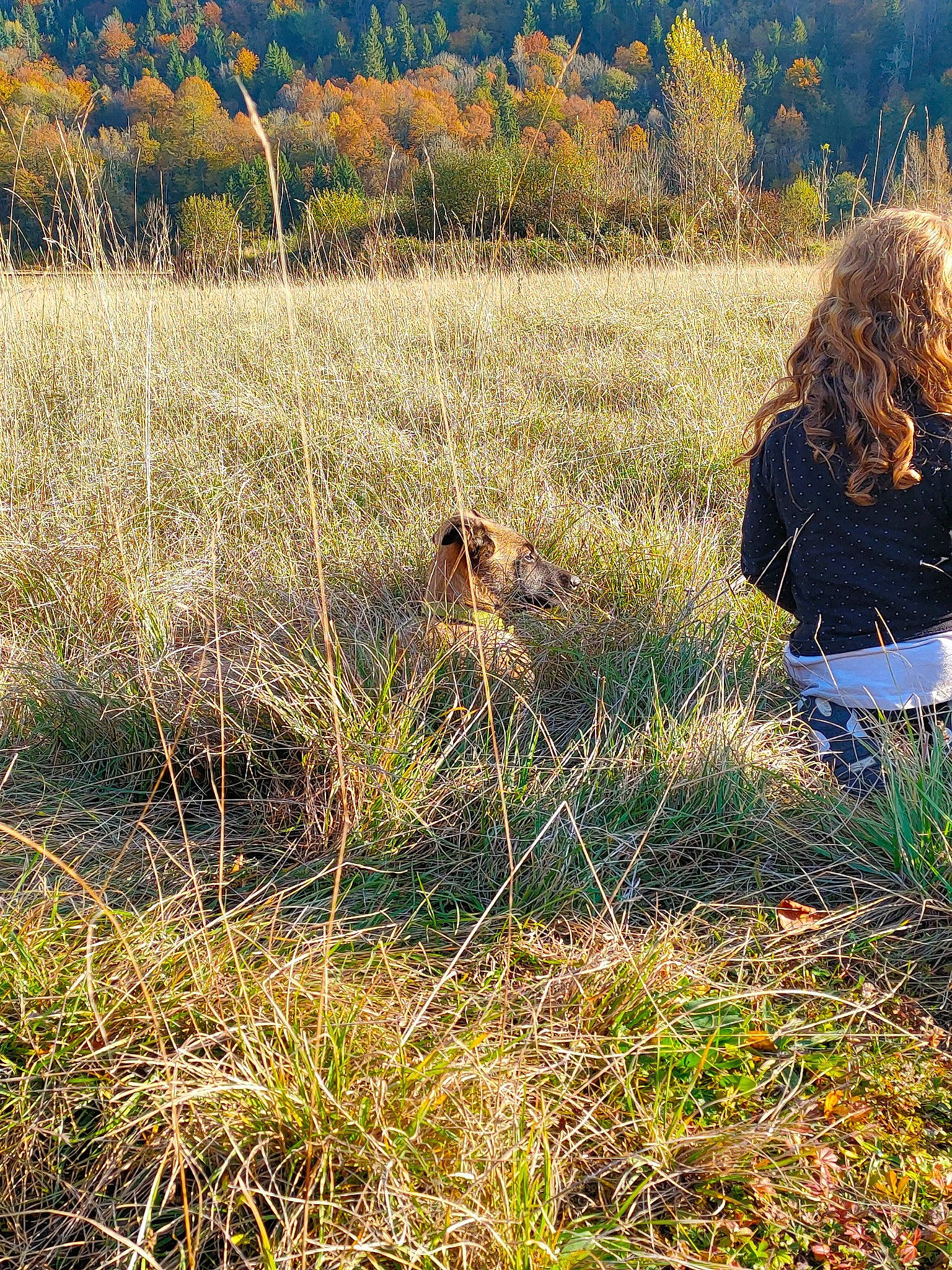 Sally a rejoint le concours — aidez-le/la à gagner de superbes lots ! ecoregion, fawn, field, grass, grass_family, grassland, happy, landscape, meadow, natural_landscape, pasture, people_in_nature, plant, plant_community, prairie, soil, sporting_group, tints_and_shades, tree, wildlife