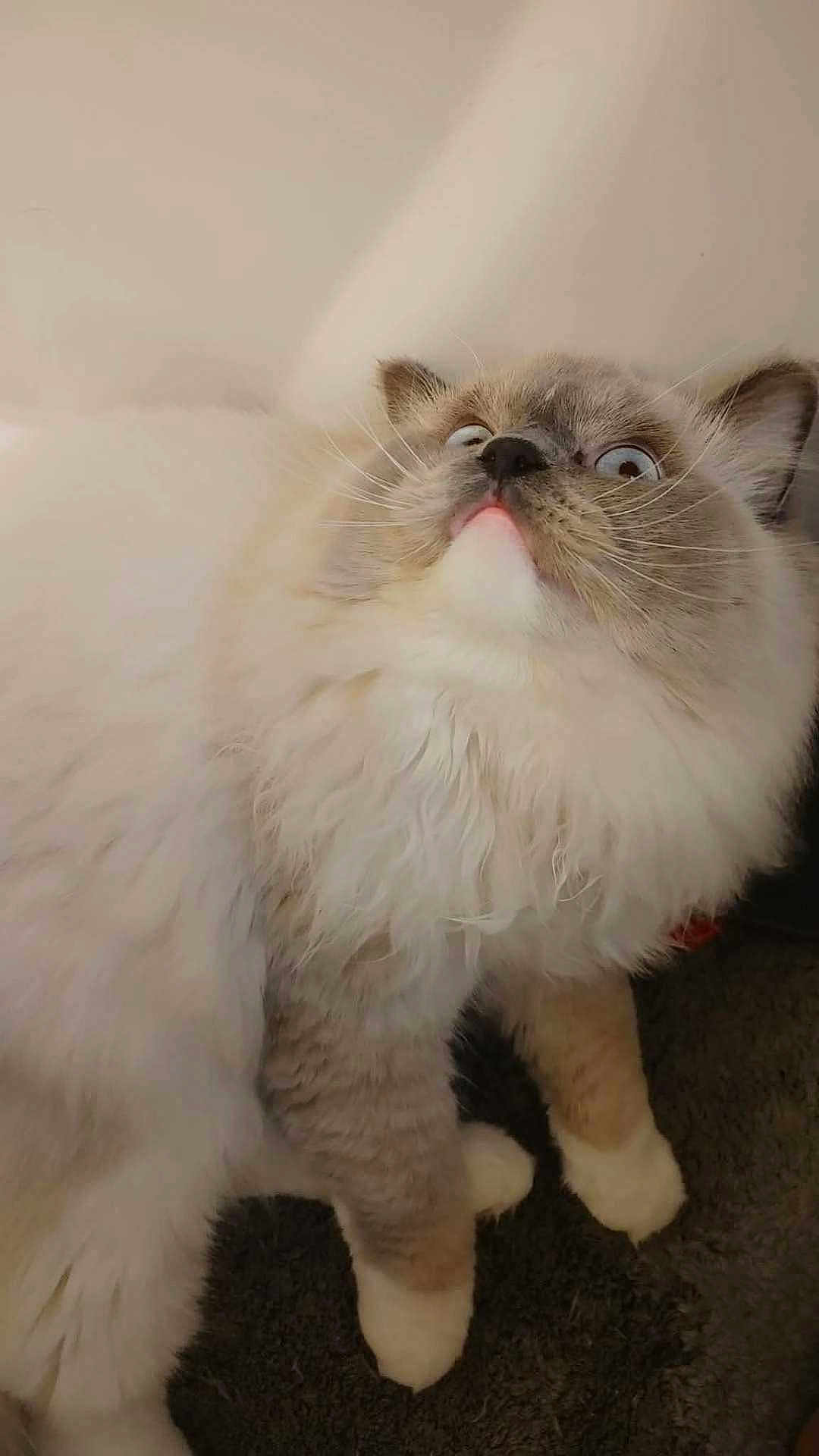 Casper