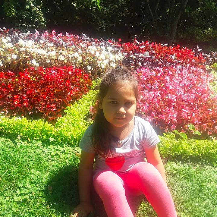 Lina a rejoint le concours — aidez-le/la à gagner de superbes lots ! botanical_garden, botany, coquelicot, flower, fun, garden, grass, lawn, leaf, perennial_plant, person, pink, plant, red, shrub, sitting, smile, spring, summer, tree