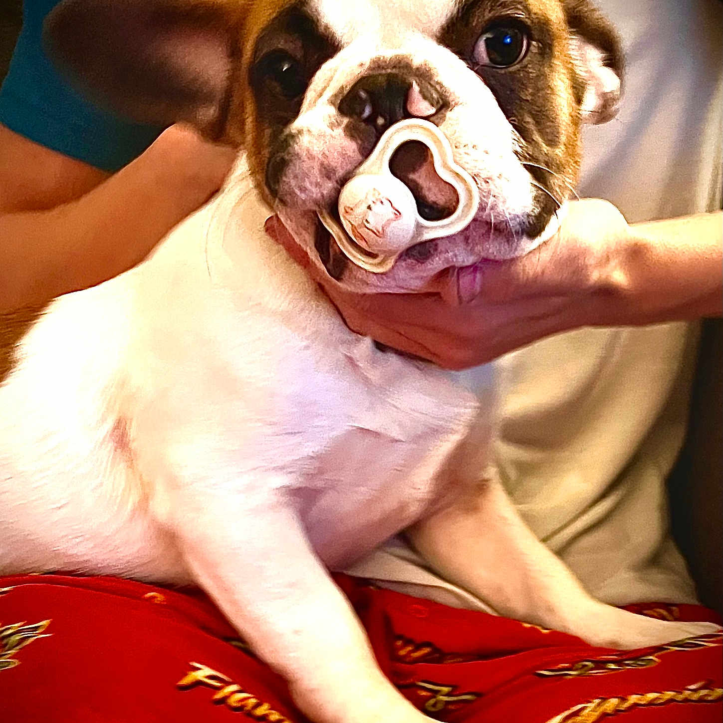 Charlie