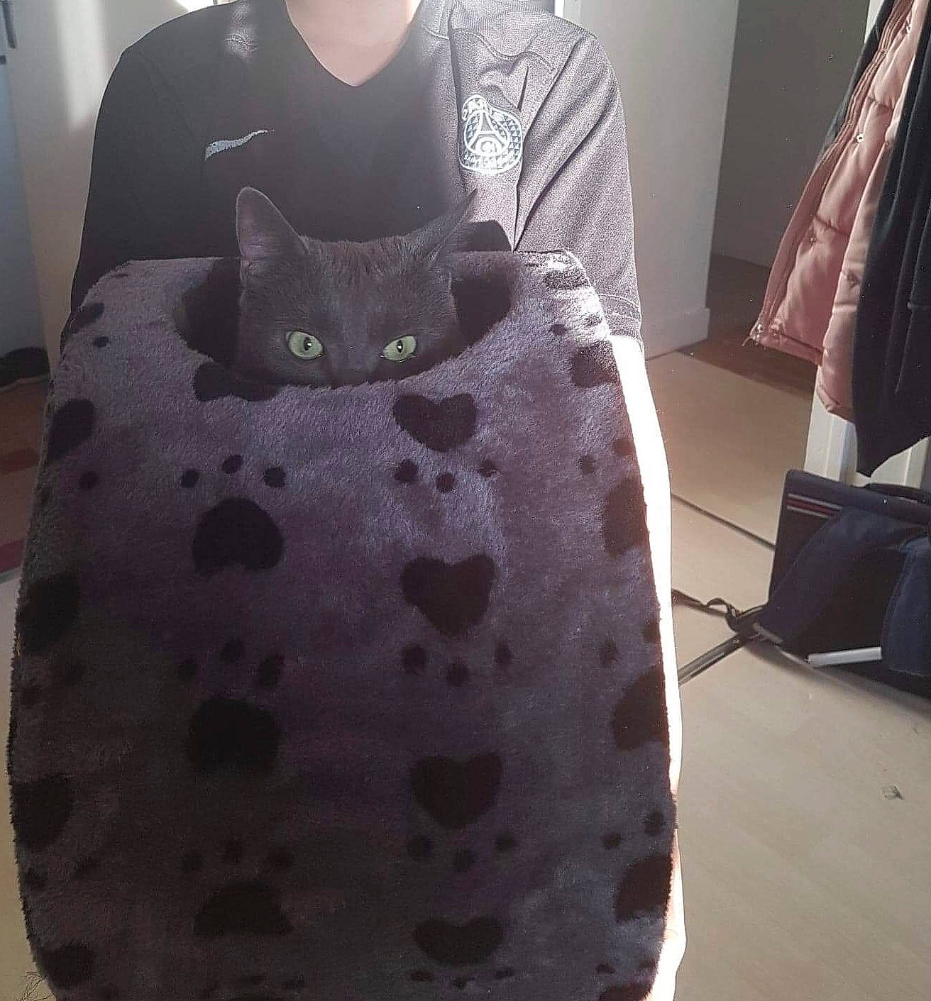 Djocko a rejoint le concours — aidez-le/la à gagner de superbes lots ! bag, cat, chair, design, dress, felidae, furniture, linens, pattern, small_to_medium_sized_cats, textile, whiskers