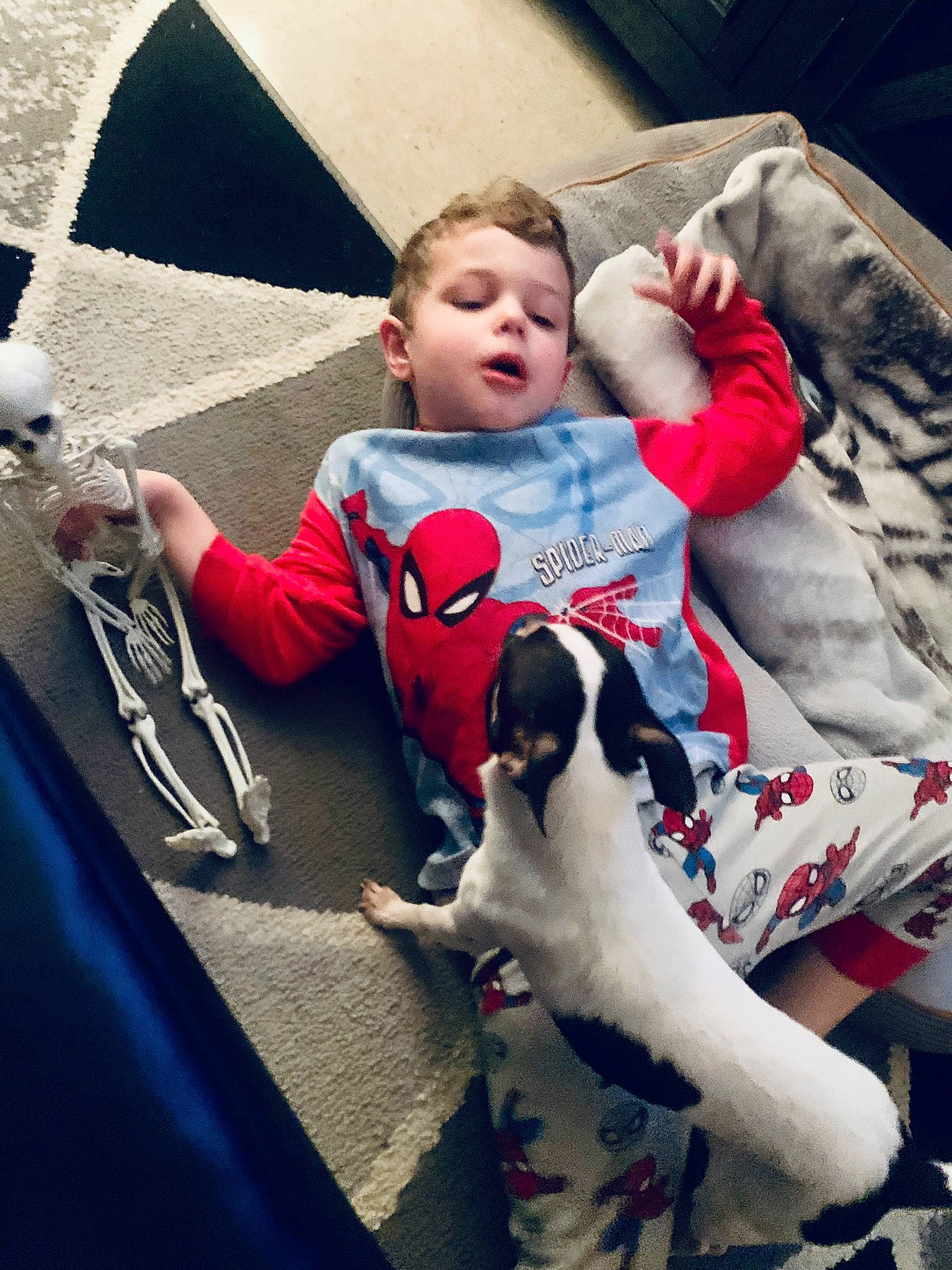 Draven joined the competition — help win amazing prizes! baby, child, comfort, companion_dog, cool, couch, dog, dog_breed, facial_expression, fawn, grass, happy, head, human, human_leg, lap, leisure, person, sitting, thigh