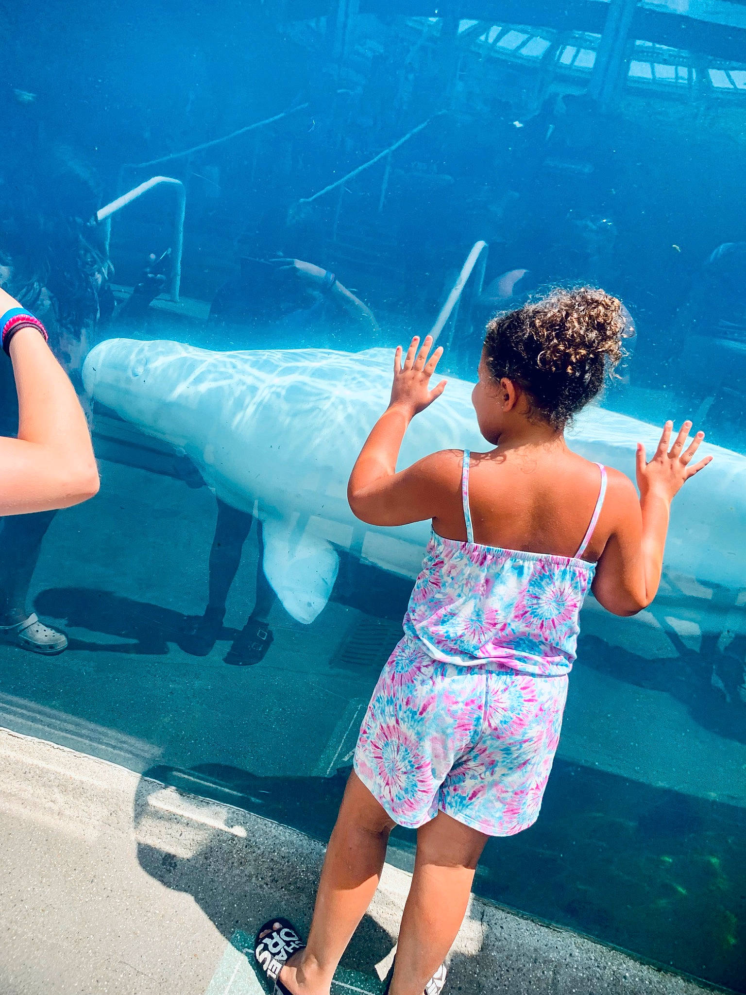 Annabelle is registered to the contest to win money with this photo: aqua, azure, blue, electric_blue, fin, fish, flash_photography, fun, gesture, happy, human_leg, leisure, organism, people_in_nature, person, recreation, summer, underwater, vertebrate, waist