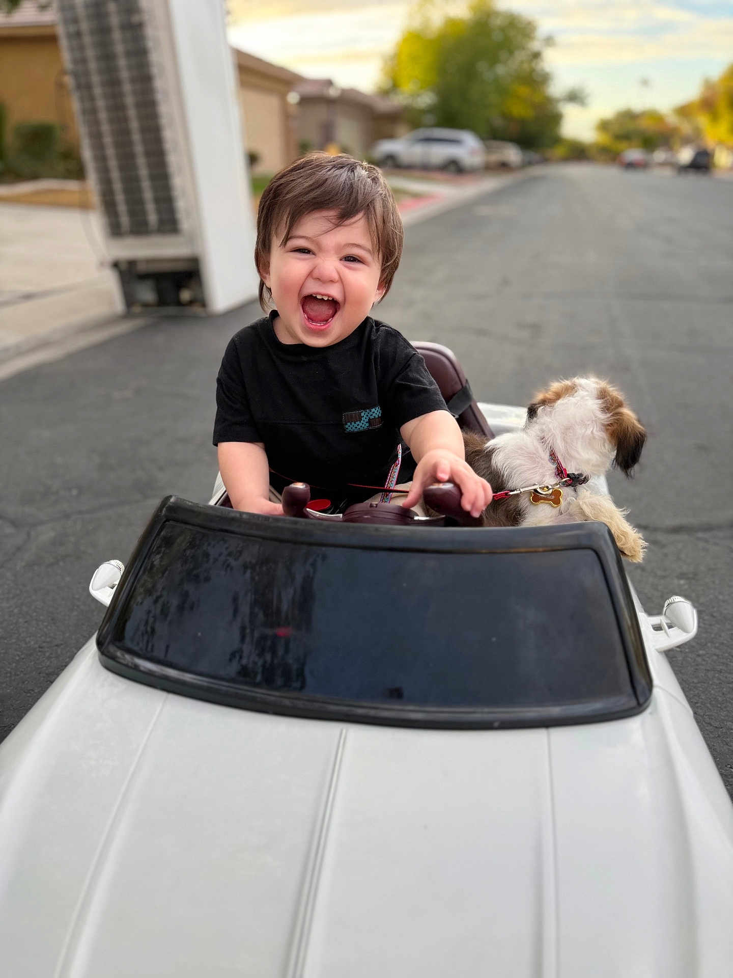 Knoah is registered to the contest to win money with this photo: child, toddler, smiling, toy_car, dog, pet, outdoor, street, suburban, happy, black_shirt, short_hair, daylight, playful, vehicle, steering_wheel, cute, pet_collar, animal, fun