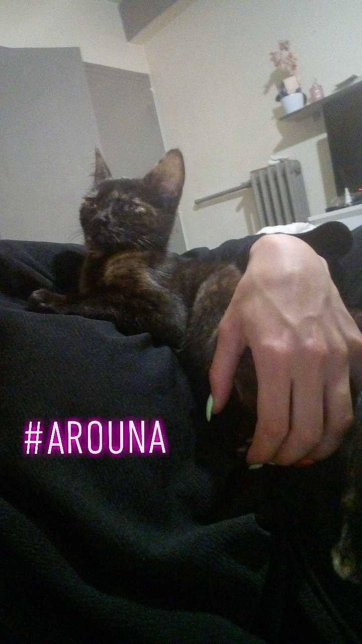 Arouna