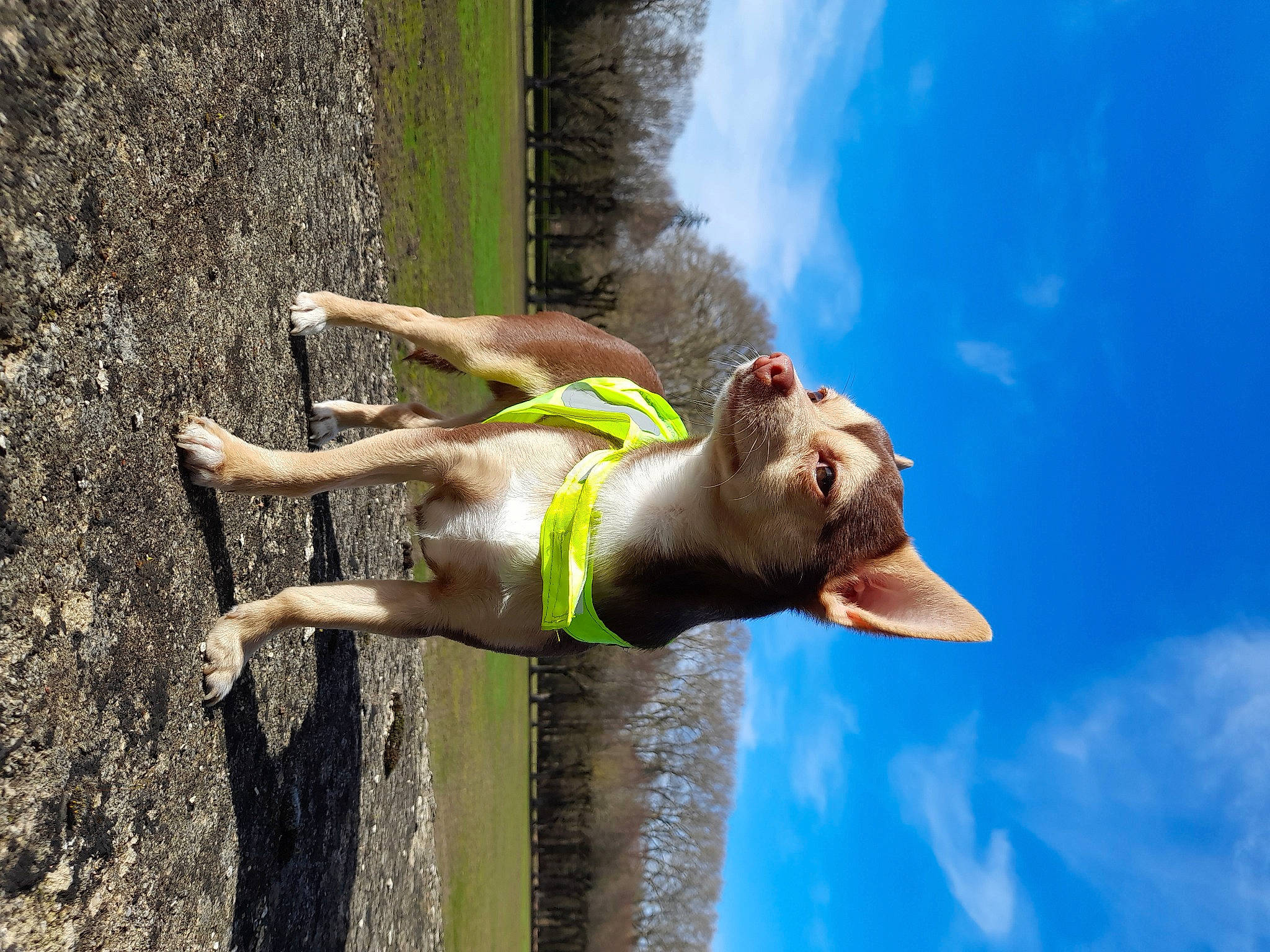 Rafy participe au concours pour gagner de l'argent avec cette photo : adventure, cloud, elbow, extreme_sport, flash_photography, fun, grass, happy, human_leg, jumping, knee, landscape, leisure, people_in_nature, recreation, sky, swimwear, thigh, tree, water