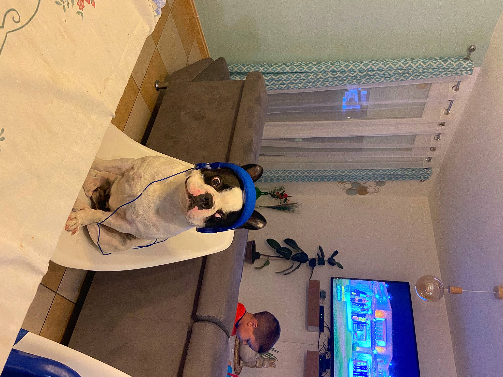 Rossi a rejoint le concours — aidez-le/la à gagner de superbes lots ! animation, art, audio_equipment, automotive_design, ceiling, display_device, eyewear, flooring, fun, interior_design, machine, molding, paper_product, plaster, room, shipping_box, space, sunglasses, visual_arts, wood