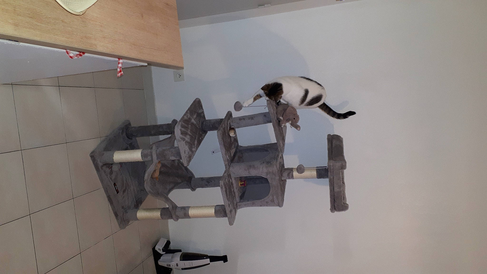 Timy a rejoint le concours — aidez-le/la à gagner de superbes lots ! art, building, carnivore, ceiling, composite_material, concrete, electrical_wiring, floor, flooring, grey, hardwood, house, machine, metal, plaster, plywood, room, stairs, tile, wood