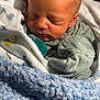 baby, blanket, child, closeup, clothing, comfort, cute, face, head, indoors, infant, nap, newborn, peaceful, rest, skin, sleeping, soft, warm, wrapped